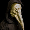 Reaper Plague Doctor Mask