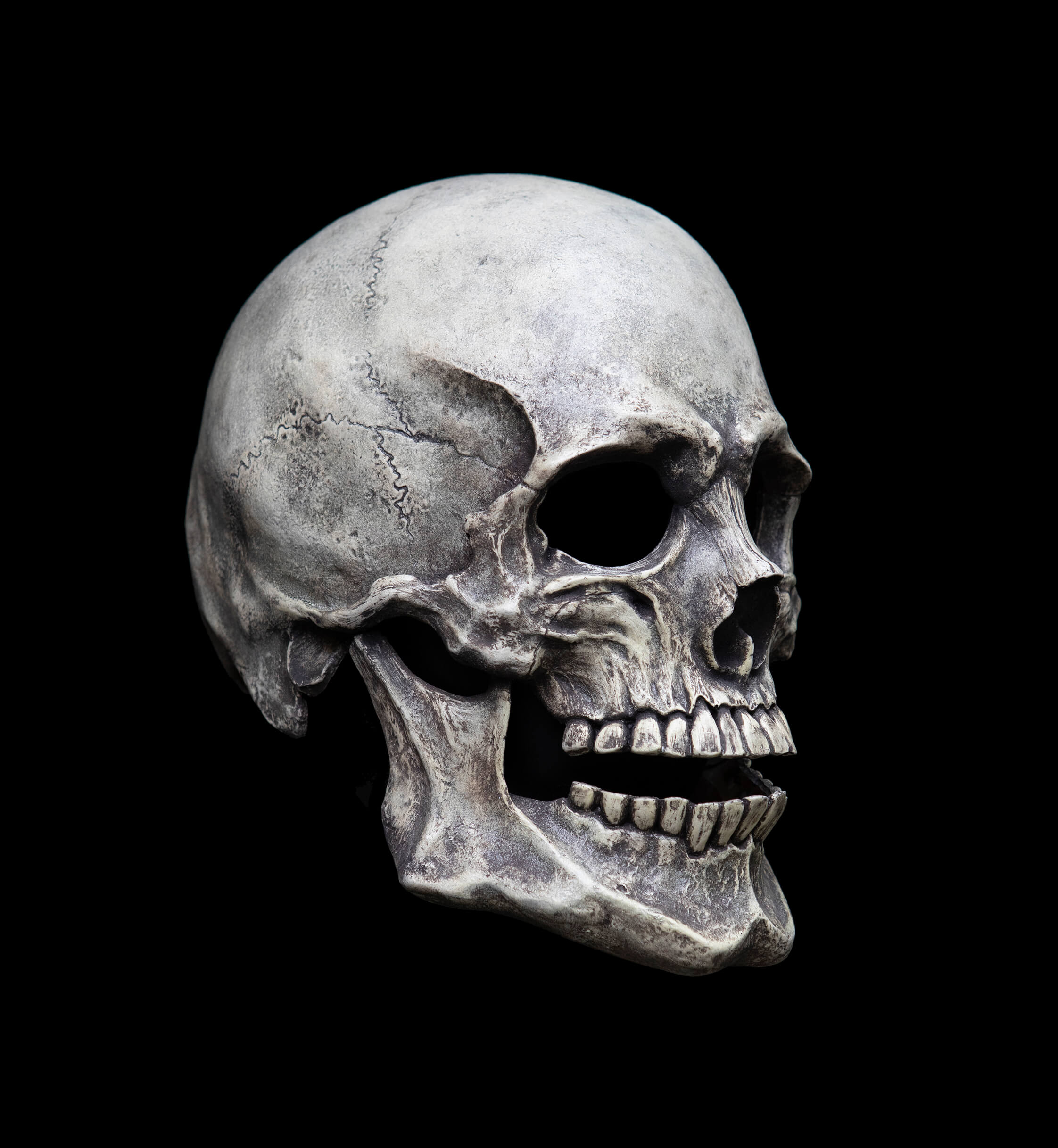 Human Skull mask